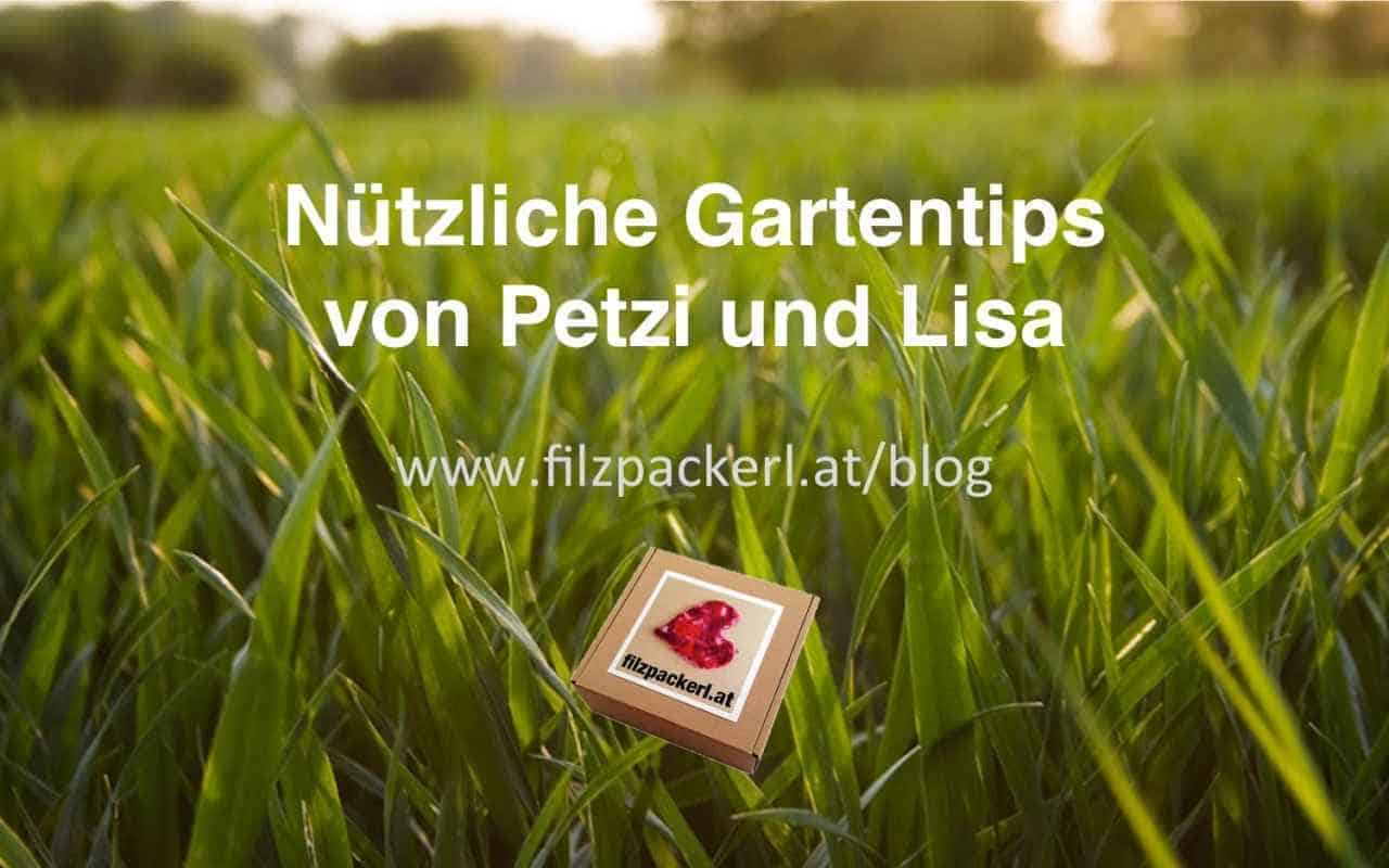 Schafwolle Gegen Schnecken Im Garten Und Im Gemusebeet