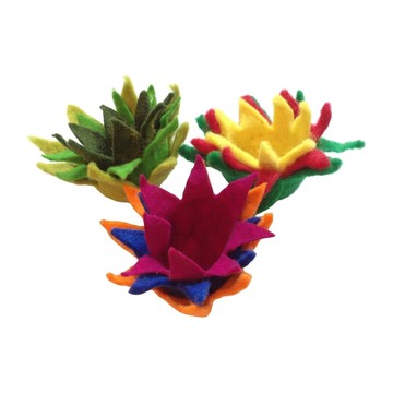 Lotusblüten